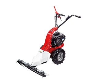 Сенокосилка Eurosystems M90 B&S 625EXi Series Сенокосилка Eurosystems M90 B&S 625EXi Series